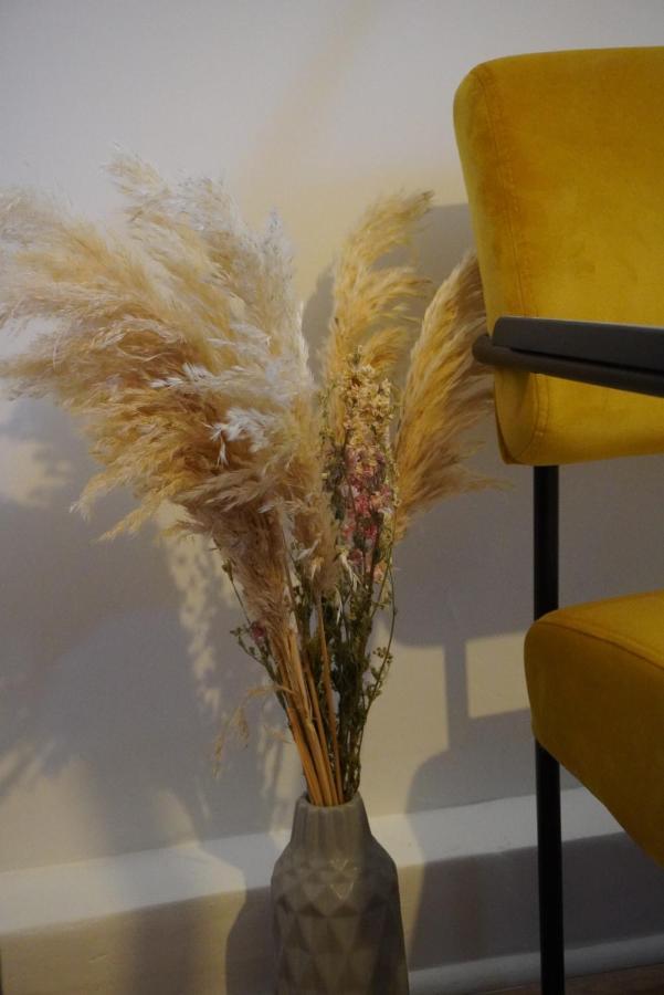 Appartement En Plein Centre Avignon Kültér fotó